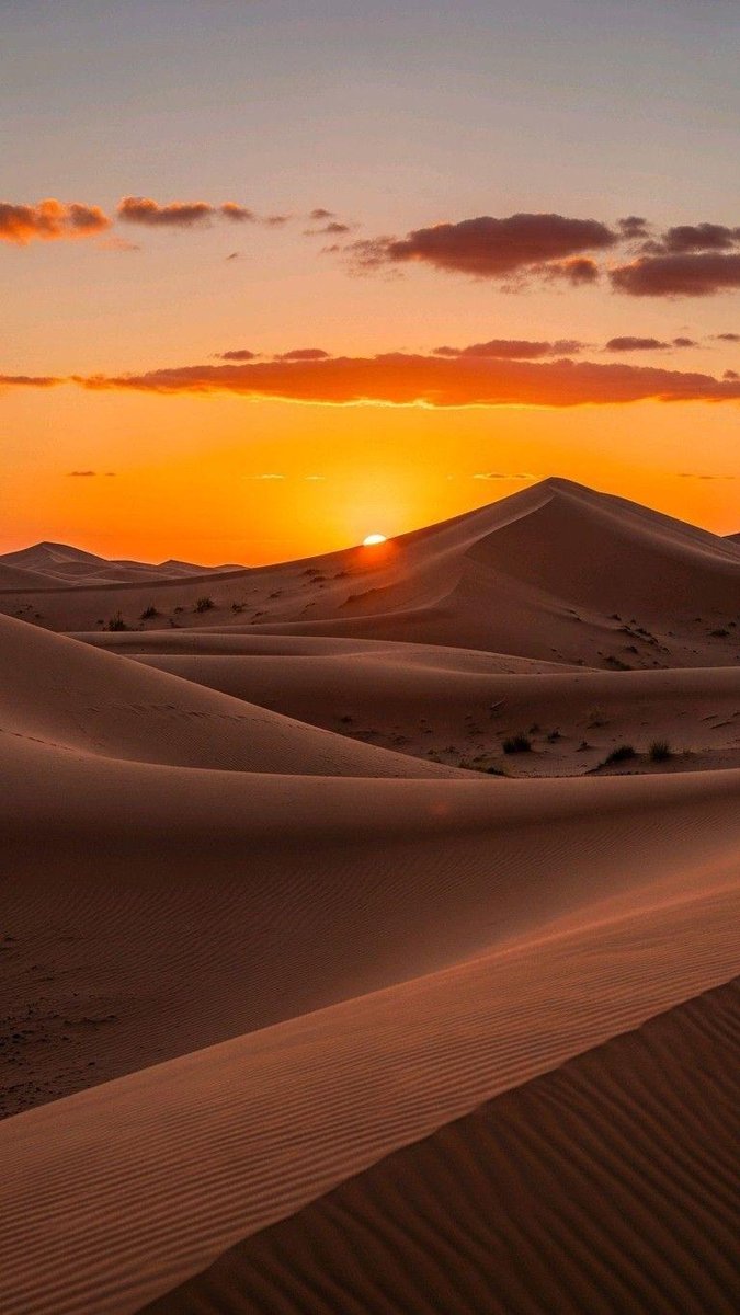 Moroccan Experience 10